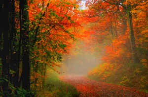 virginia west central