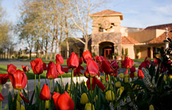 Sonoma County Central