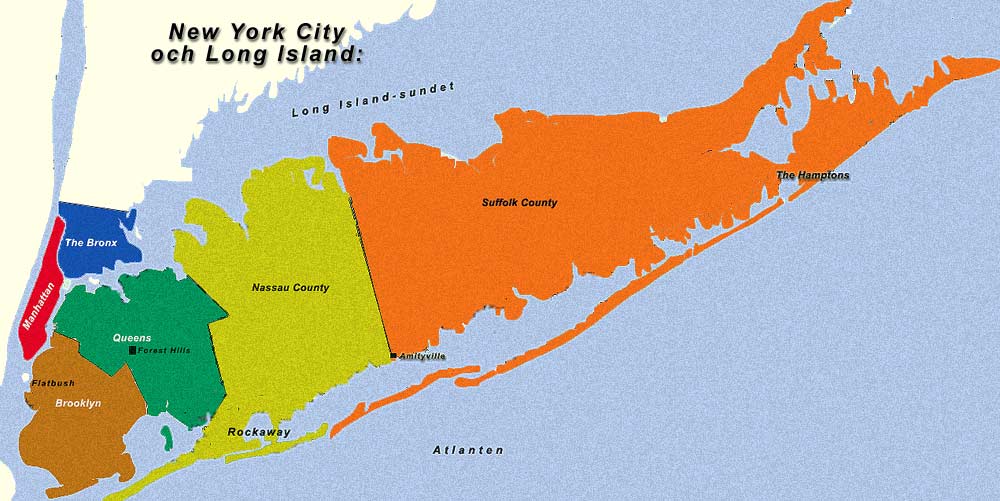 Long Island Practice Veterinary Practices For