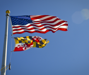 Maryland Small Animal Practice at  for 